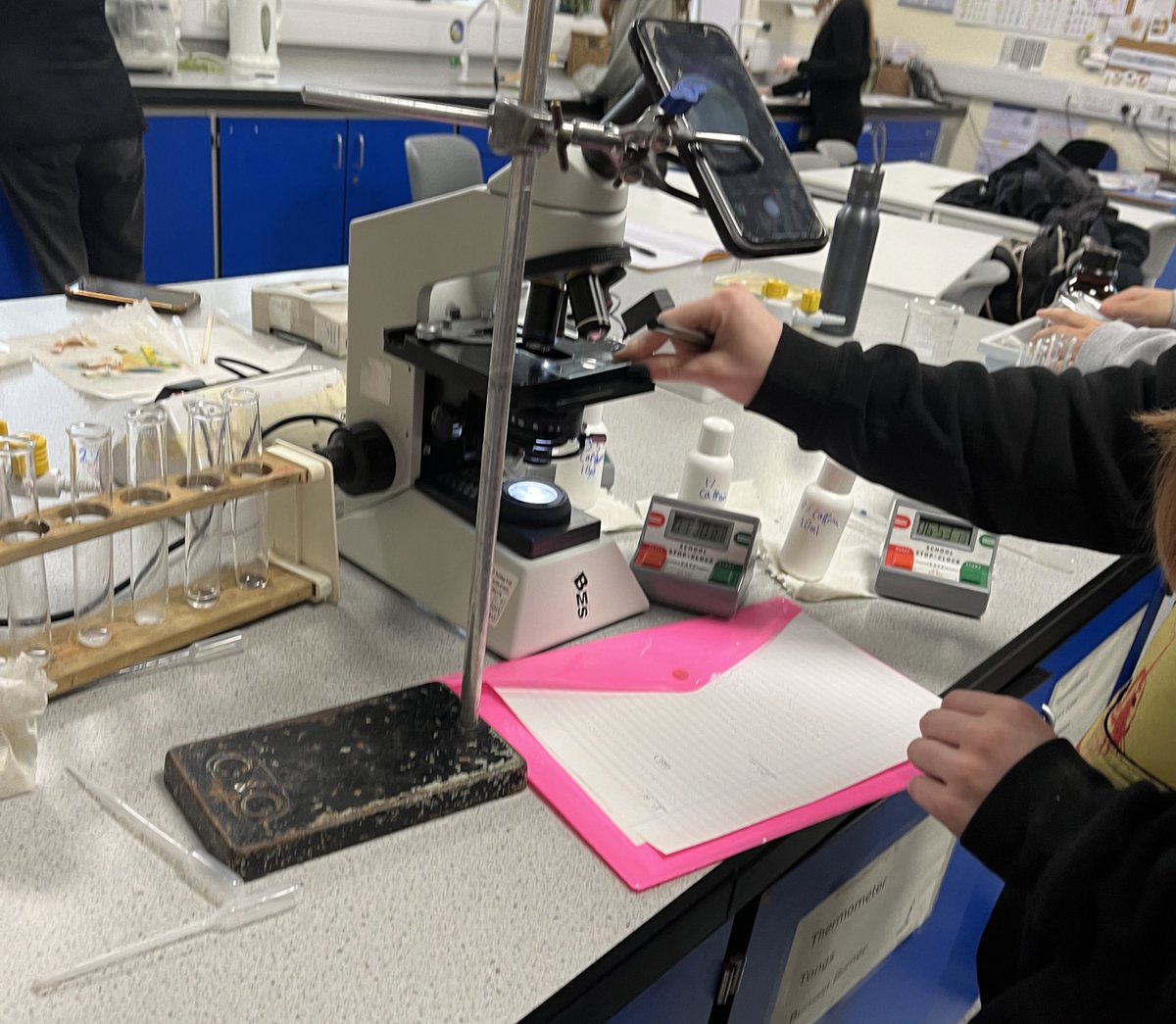 Ms Diamond tweet media