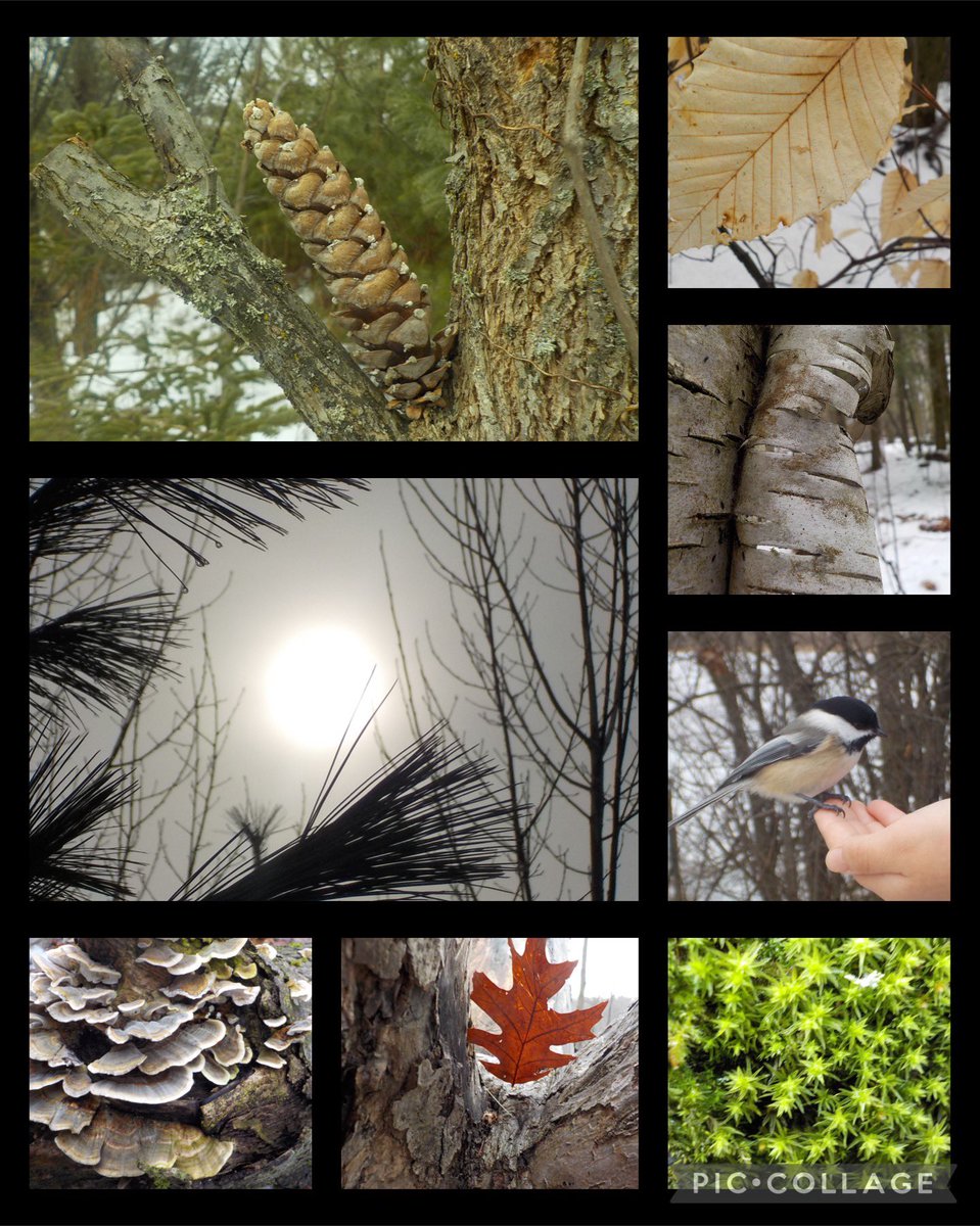 Swan Lake Outdoor Ed (@swanlakeoe) on Twitter photo Two incredible days with fourth grade students <a href="/BayviewHillES/">BayviewHillES</a>! Favourite quote: āIāve never been so fond of nature as I am today.ā ~Gr4 #NaturePhotography Two incredible days with fourth grade students <a href="/BayviewHillES/">BayviewHillES</a>! Favourite quote: āIāve never been so fond of nature as I am today.ā ~Gr4 #NaturePhotography
