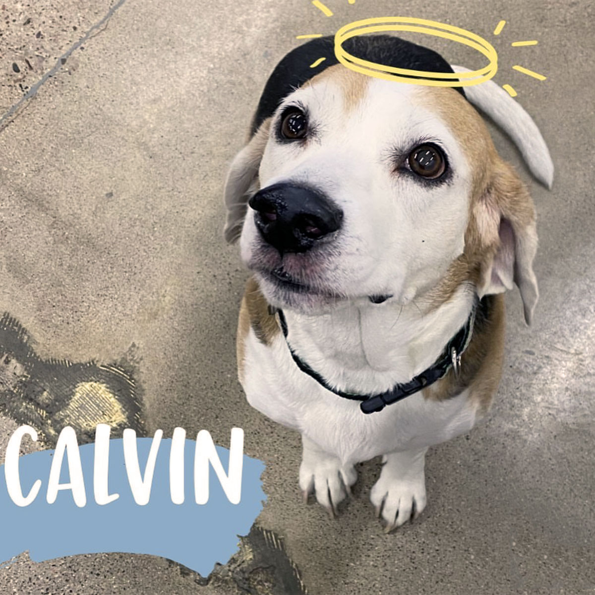 Jon Gabriel tweet media