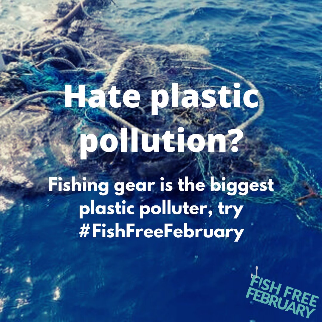 beleafvegan's tweet image. 🎣 Dumped fishing gear is the biggest plastic polluter in the oceans 🗑️

✅ Take the pledge to help stop plastic pollution in the oceans- fishfreefebruary.com/pledge !

#FishFreeFebruary #PlasticFree