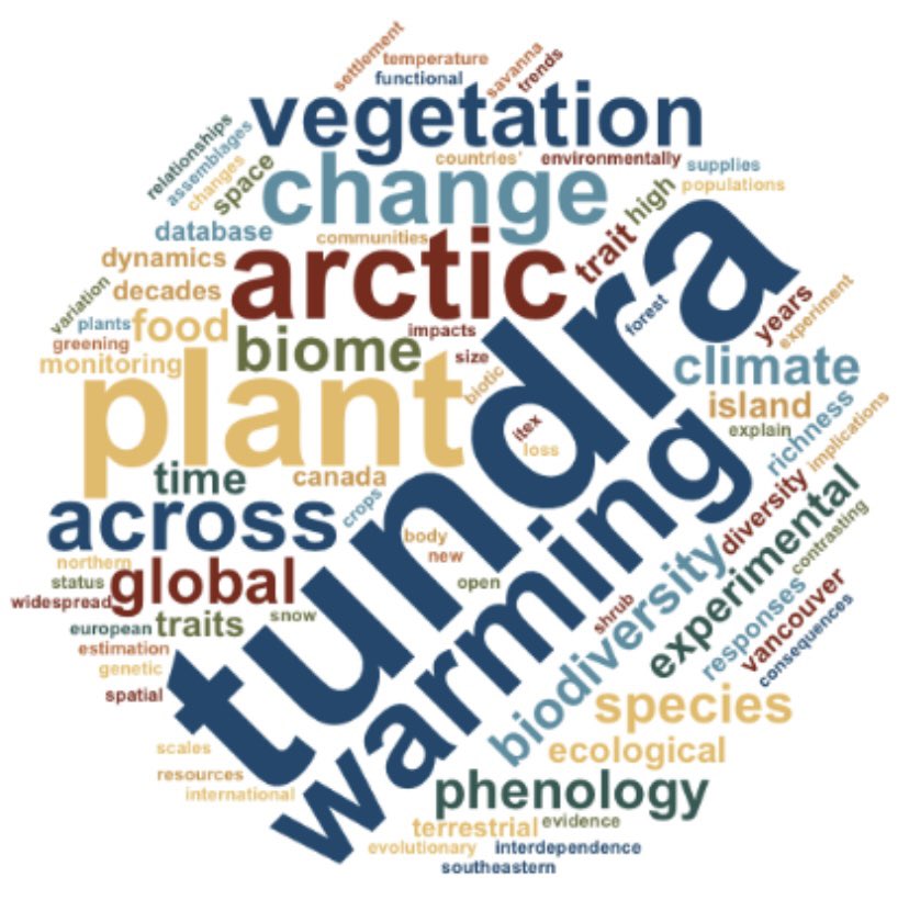 Anne Bjorkman tweet media