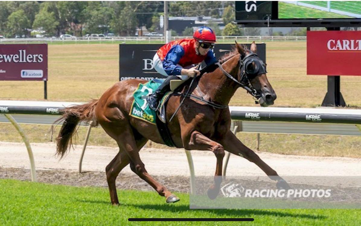 Steven king (@kingsteven1969) on Twitter photo Finance Star winning impressively <a href="/racingwodonga/">Racing Wodonga</a> yesterday under a great ride from <a href="/LachieJamesKing/">Lachie King</a>. Congratulations to the winning connections. Finance Star winning impressively <a href="/racingwodonga/">Racing Wodonga</a> yesterday under a great ride from <a href="/LachieJamesKing/">Lachie King</a>. Congratulations to the winning connections.