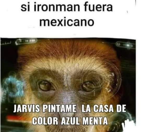NeonBat1's tweet photo. @Mochimochigris Que rico causita https://t.co/BZKU8zkXCz