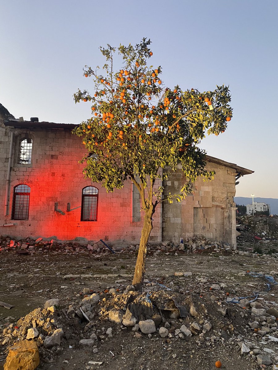 BesteeSahilli's tweet photo. Bu fotoğraf size ne hissettiriyor? https://t.co/2fhX7Cq1Em