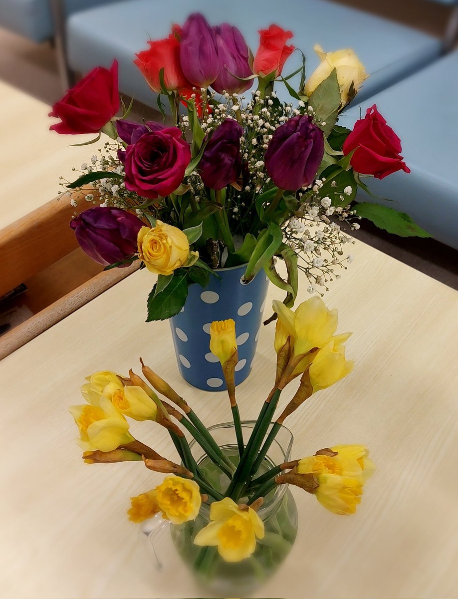 NUHdaysurgeryunit (@nuhdsu) on Twitter photo Beautiful flowers from a grateful patient in our Pain Clinic π
<a href="/ACD_NUH/">NUH Ambulatory Care Division</a> <a href="/nuh/">Nuh</a>
<a href="/nuhpatientgroup/">π NUH Patient Partnership Group (PPG) π</a> #springflowers Beautiful flowers from a grateful patient in our Pain Clinic π
<a href="/ACD_NUH/">NUH Ambulatory Care Division</a> <a href="/nuh/">Nuh</a>
<a href="/nuhpatientgroup/">π NUH Patient Partnership Group (PPG) π</a> #springflowers