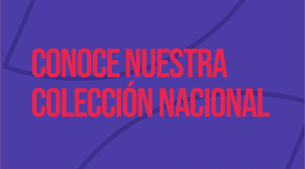 Cultura_Ec's tweet photo. 📌 Conoce la riqueza cultural del 🇪🇨 en nuestros museos, donde cada pieza prehispánica cuenta una historia.

Ingresa en la #AgendaCulturalYPatrimonial para informarte sobre nuestras actividades. 

 👉 https://t.co/b0J8EgdzGD

#ElNuevoEcuador https://t.co/iwaW5G31e6