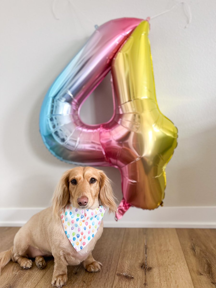 annabinkie's tweet photo. 4 🎉 https://t.co/QJWEpYnu8W
