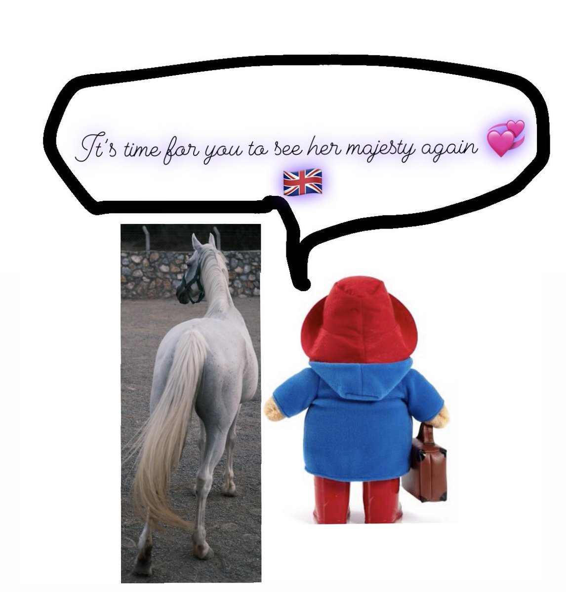 alistair green (@mralistairgreen) on Twitter photo 