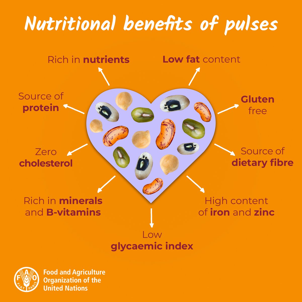 Pulses  are our delicious ally in achieving food security, and reducing malnutrition.

#WorldPulsesDay