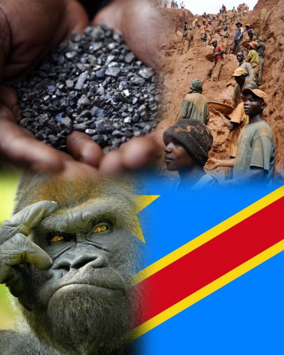 leonkibondo's tweet photo. [ THREAD ] QUELQUES RICHESSES DE LA République Démocratique du Congo 🇨🇩❤️.
  Partager et retweeter🙏🏾                   
                                      Ouvrez ⬇️⬇️⬇️ https://t.co/wdciCQqzdj