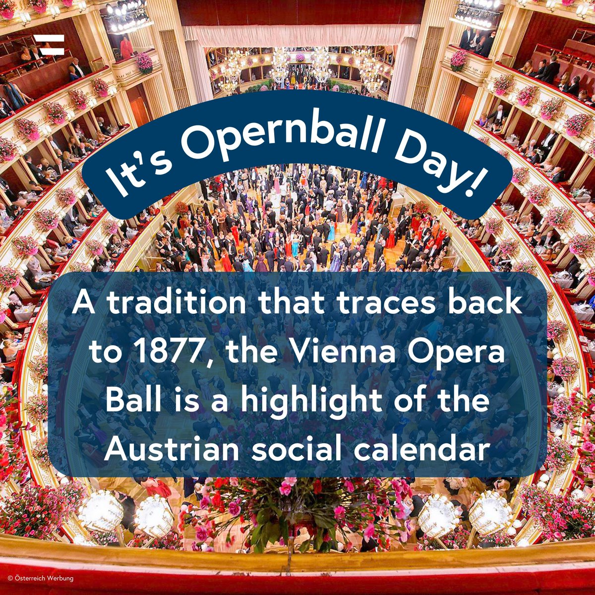 austriainuk's tweet image. Today is the Vienna Opera Ball! A glamourous event that attracts thousands of guests from across the world, the Opernball showcases some of Austria's finest music and dance heritage and is a much-anticipated cultural event each year✨🇦🇹🥂 #Opernball