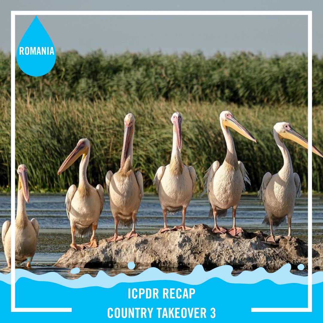 ICPDR_ORG's tweet photo. 👋 Bidding Farewell to an Incredible Journey: Our third #ICPDR #CountryTakeover ends here! 🌎💙 Thanks to all participating countries for making this series a social media sensation. We're going on a short break to be back with the 4th Takeover! 📣Keep an eye out for updates. https://t.co/E4XddLOZtN