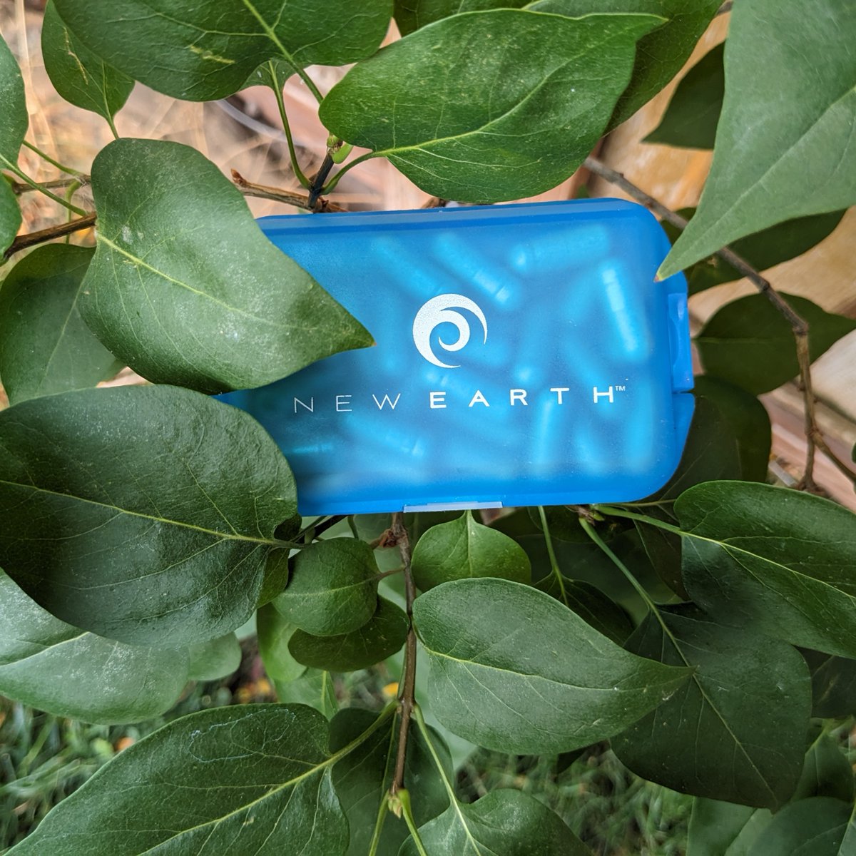 New Earth Co tweet media