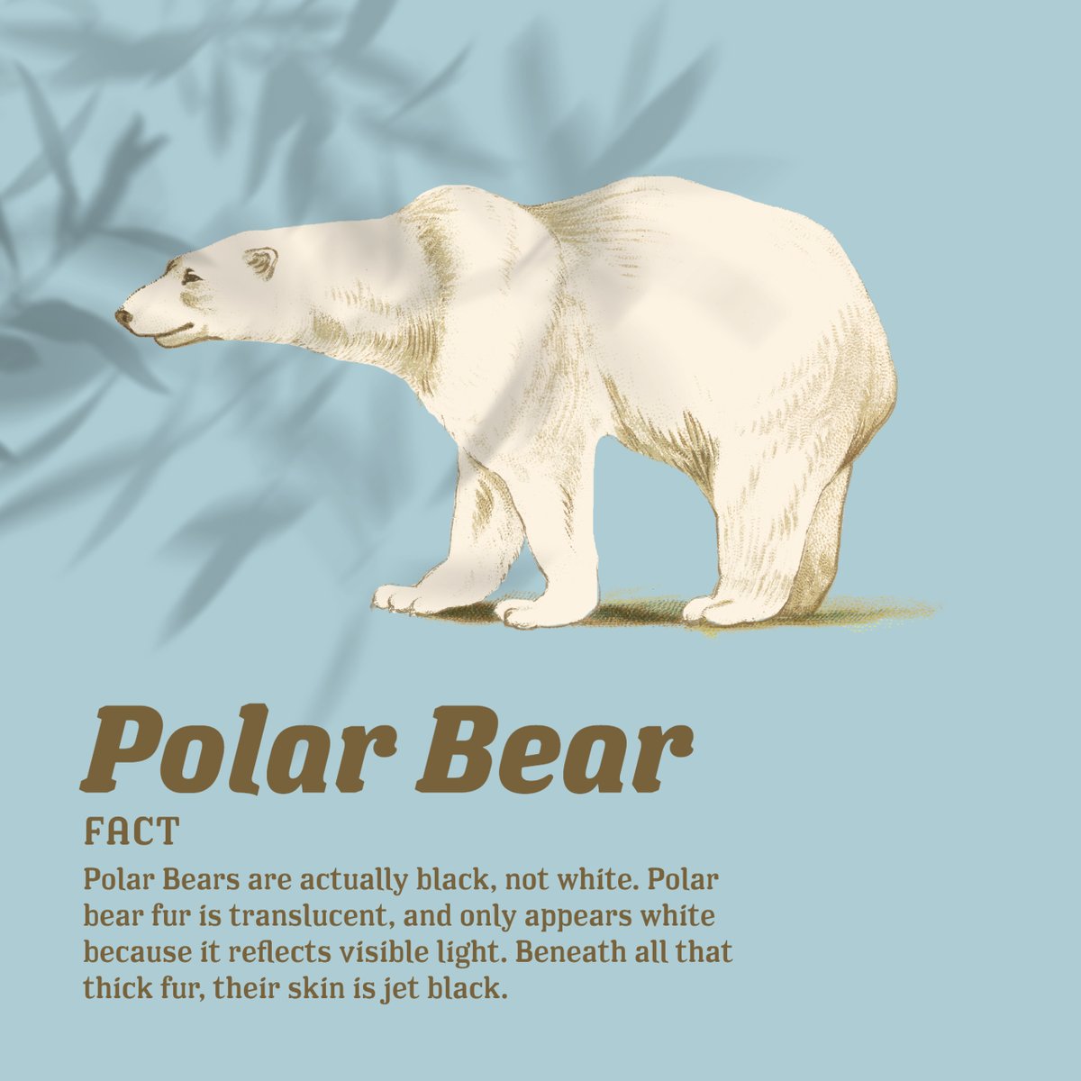 Cindi Rockett tweet media