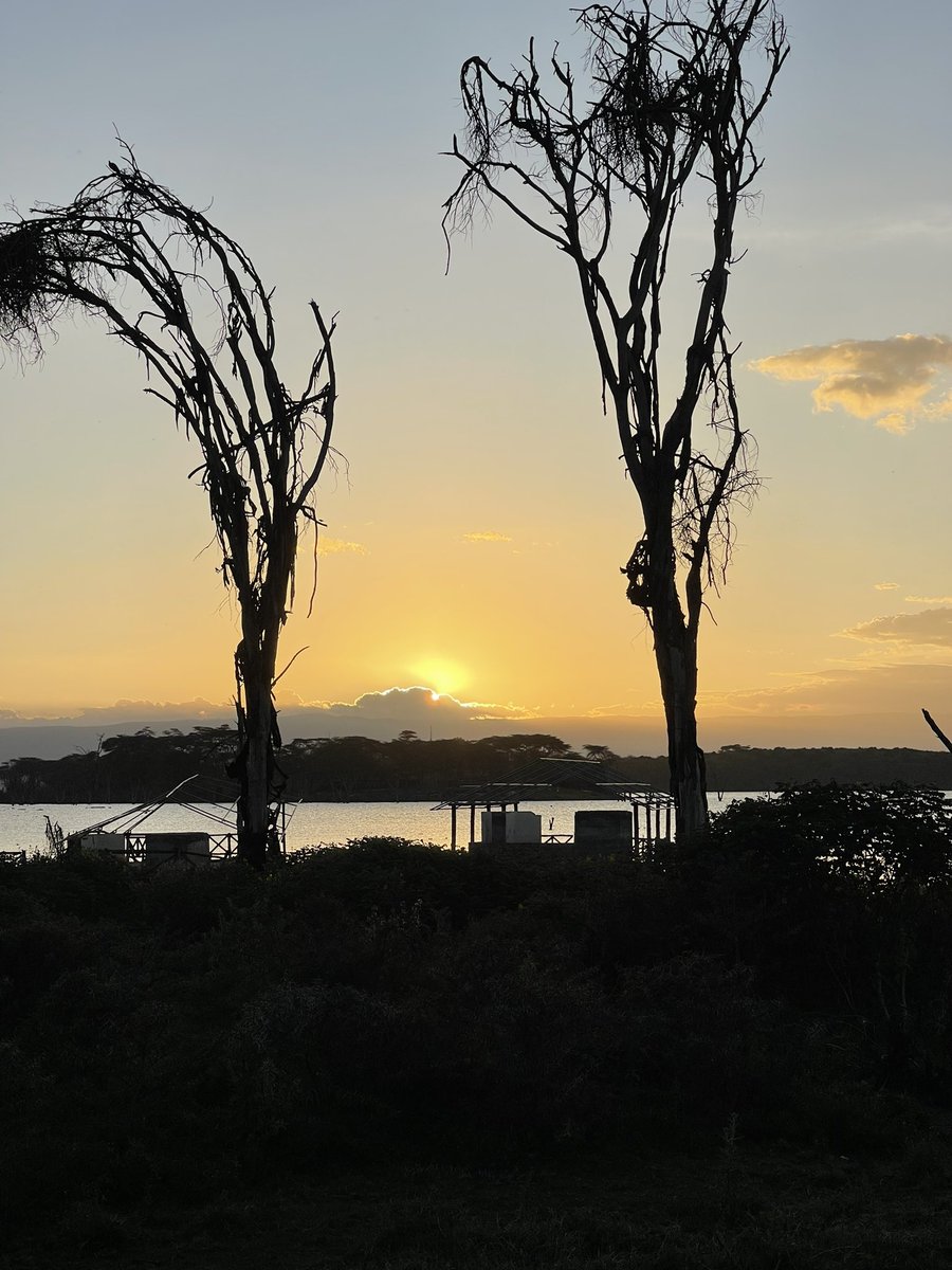 It's all about the trees, water and skies