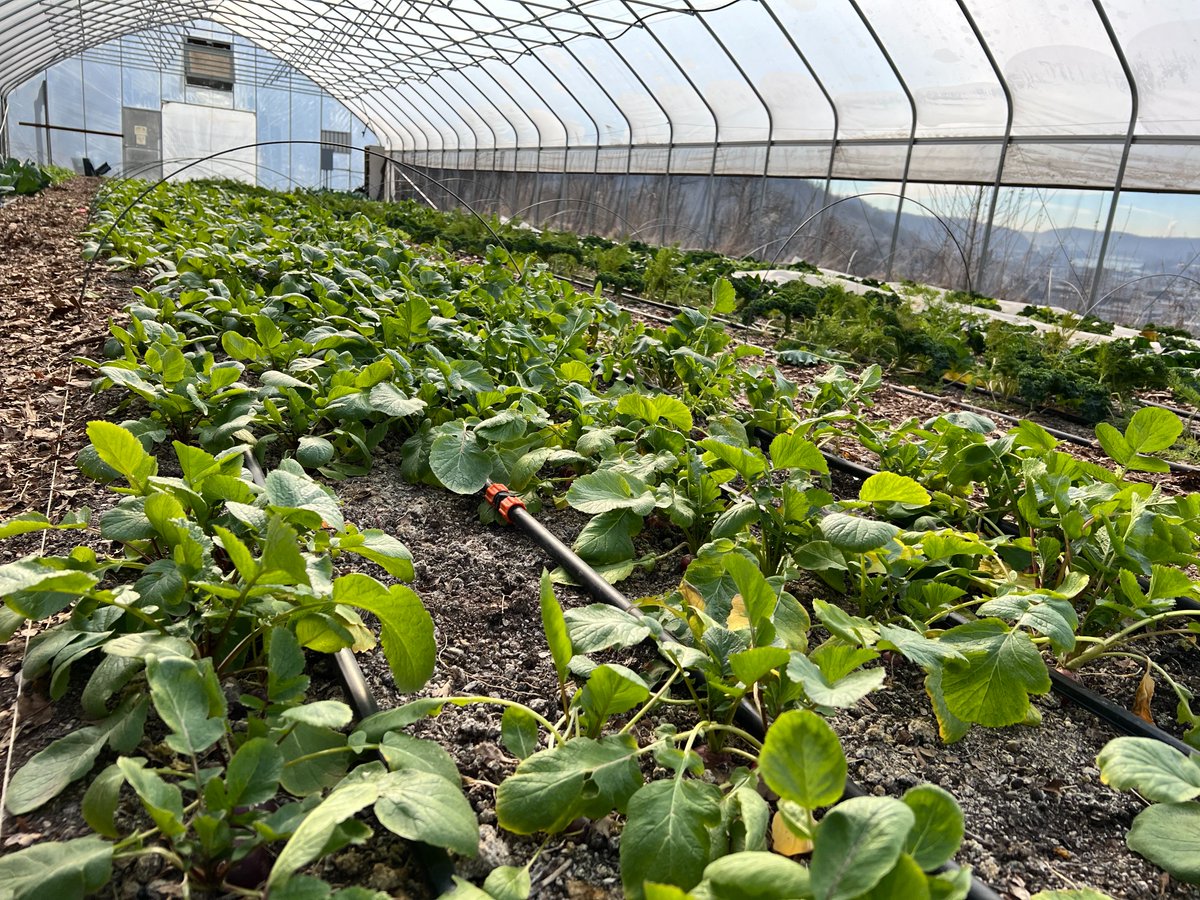 RD_WestVirginia's tweet photo. It was a great day yesterday visiting with some of our stakeholders in the Northern Panhandle. First, we spoke with @GrowOhioValley about how they've used @usdaRD and @ARCgov funds to increase access to the healthy foods and to support the local businesses that can provide it. https://t.co/AgkwJl6mS7