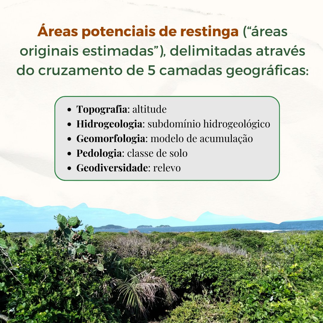 floresta_sc's tweet photo. 🌿SAIU A PUBLICAÇÃO SOBRE O MAPA DA RESTINGA!! Fruto de um trabalho de 3 anos, realizado para gerar um mapa sólido da restinga, aplicável em ações de conservação, planejamento territorial e licenciamento.

Artigo: https://t.co/kjawVIAgOI
Baixe o mapa: https://t.co/pu0EnNIIf6 https://t.co/XRJzOB2uG0