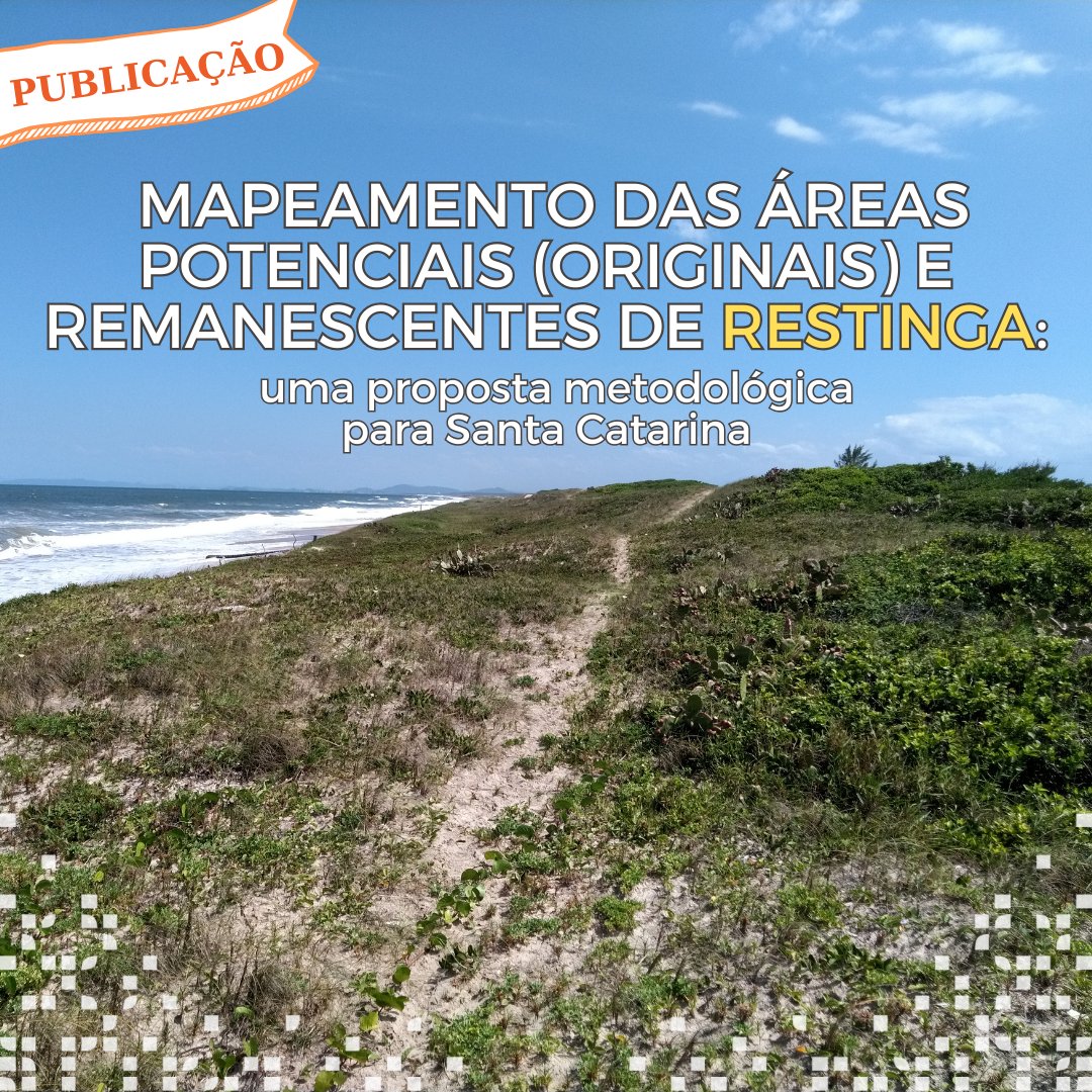 floresta_sc's tweet photo. 🌿SAIU A PUBLICAÇÃO SOBRE O MAPA DA RESTINGA!! Fruto de um trabalho de 3 anos, realizado para gerar um mapa sólido da restinga, aplicável em ações de conservação, planejamento territorial e licenciamento.

Artigo: https://t.co/kjawVIAgOI
Baixe o mapa: https://t.co/pu0EnNIIf6 https://t.co/XRJzOB2uG0