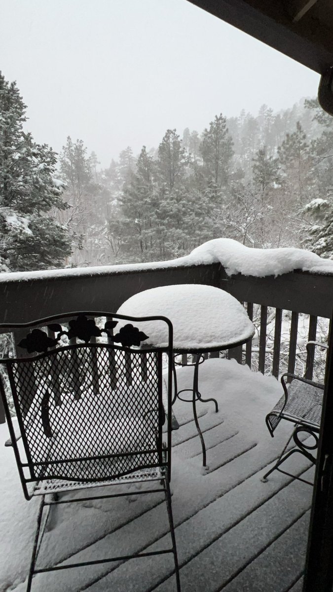 Dtmv_with_Lorri's tweet photo. Happy Thursday! It seems like Elsa isn’t very happy this morning lol.. even though I’m stuck inside doesn’t mean I stop working for you! Lets starting planning that summer vacation!
#Travelagent #discoverthemagicvacations #dtmv #adventurestartsnow https://t.co/pZ8r0MyrYk