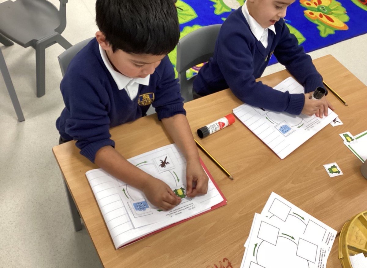 AFSPrimary's tweet photo. Reception have been learning about the the life-cycle of a frog in Understanding the World. In Expressive Arts and Design, we have been drawing frogs using a step-by-step guide! Look how incredible our illustrations are! 🐸 #afsprimary #educationalexcellencen https://t.co/t6t3DZXIxa
