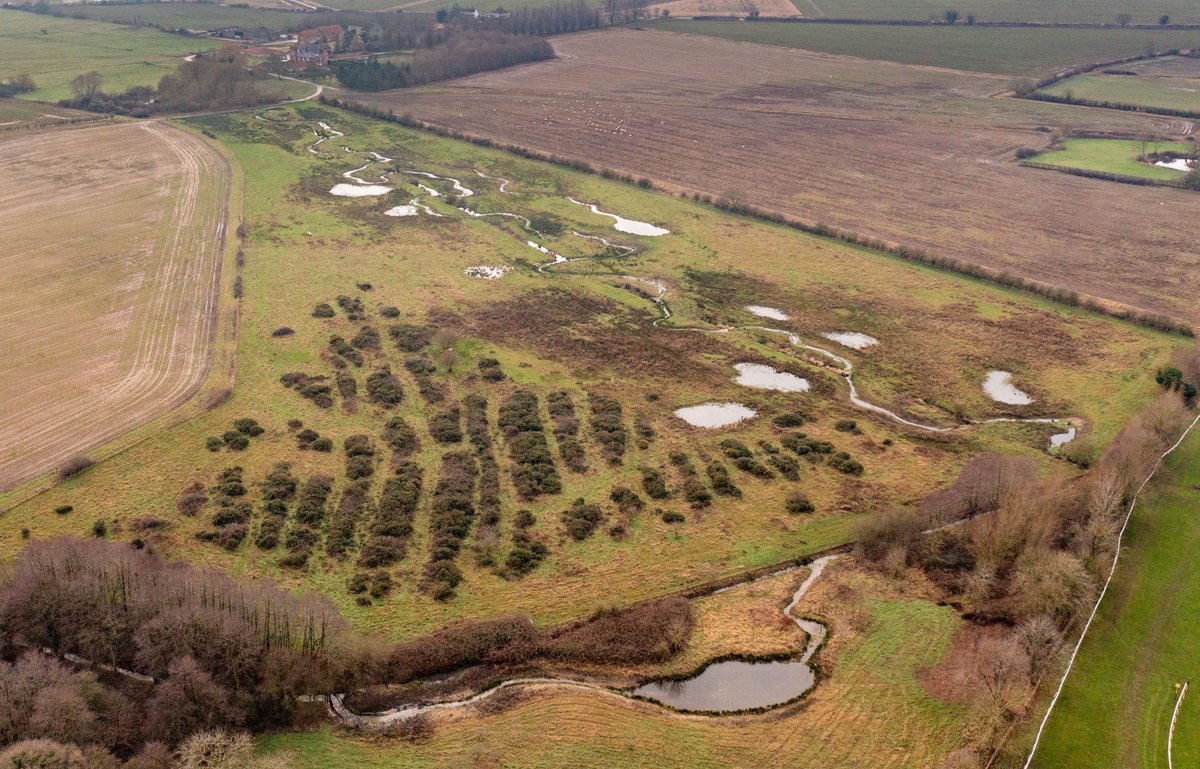 Rivers Ecology tweet media