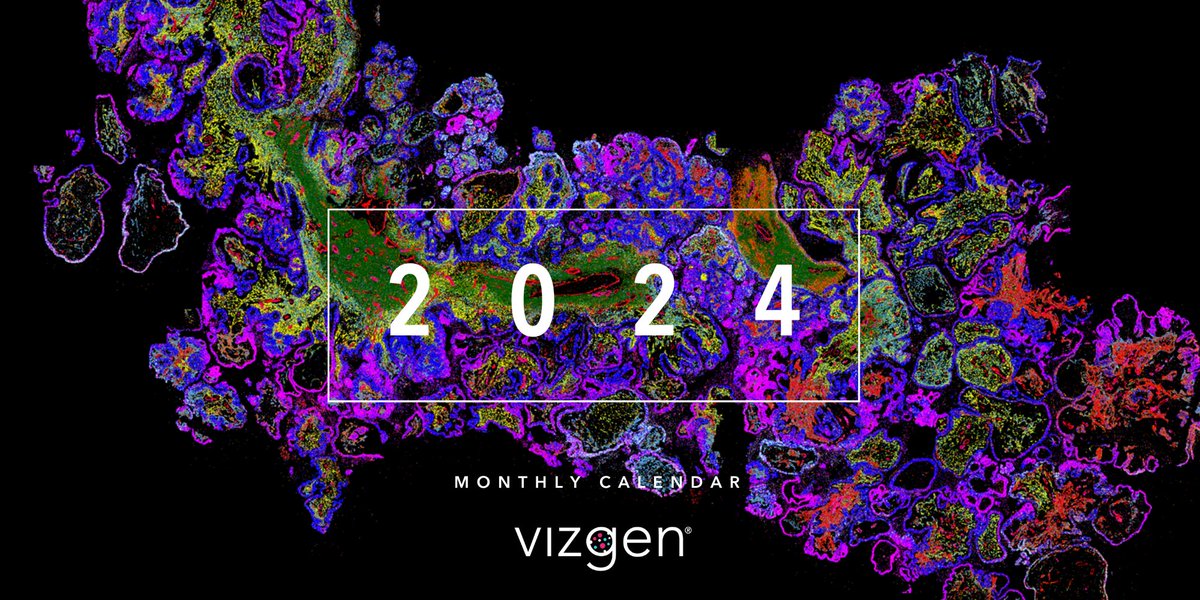 vizgen_inc's tweet image. 📷#MERSCOPE generates #MERFISH #SpatialTranscriptomic #DataImages that are not only exceptional in their #Accuracy & #DetectionEfficiency, but also breathtaking in their beauty.🎨
Check out the winners of our 2024 calendar contest: hubs.ly/Q02k1LM40
#VizgenViews #SciArt
