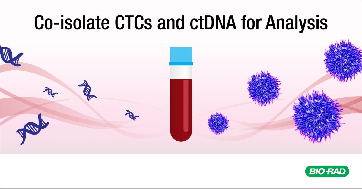 Efficiently co-isolate CTC &amp; ctDNA from liquid biopsy samples for downstream analyses with the new Genesis System and Celselect Slides™ workflow. 

Learn more here: ow.ly/K0wY50Qxnai 

Get the App Note: bio-rad.com/sites/default/…