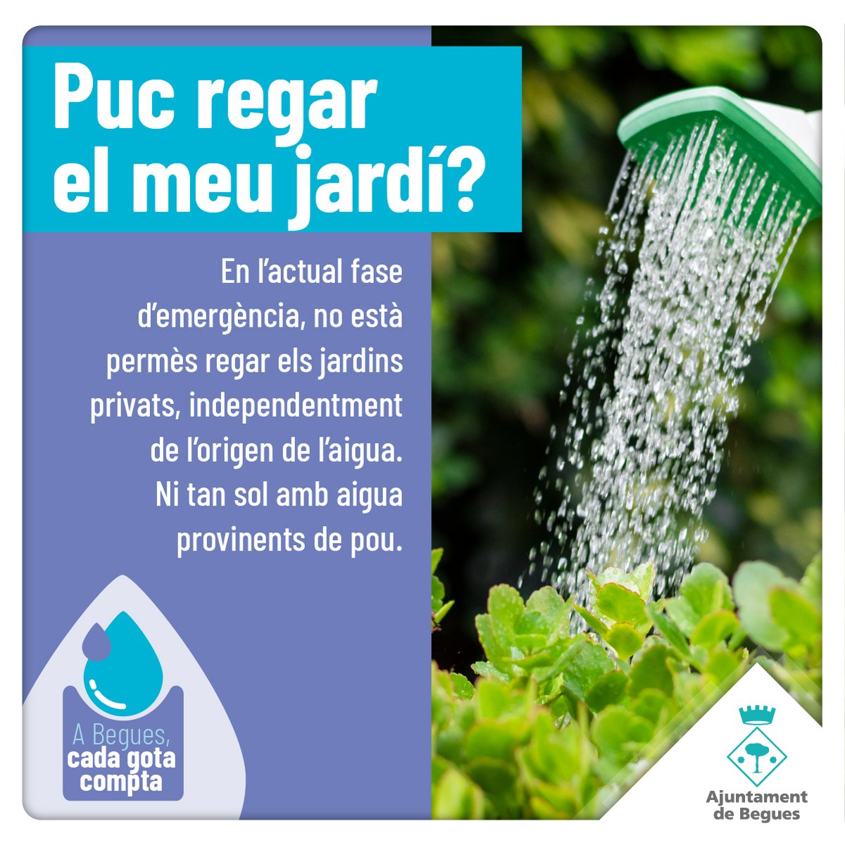 Ajuntament de Begues tweet media