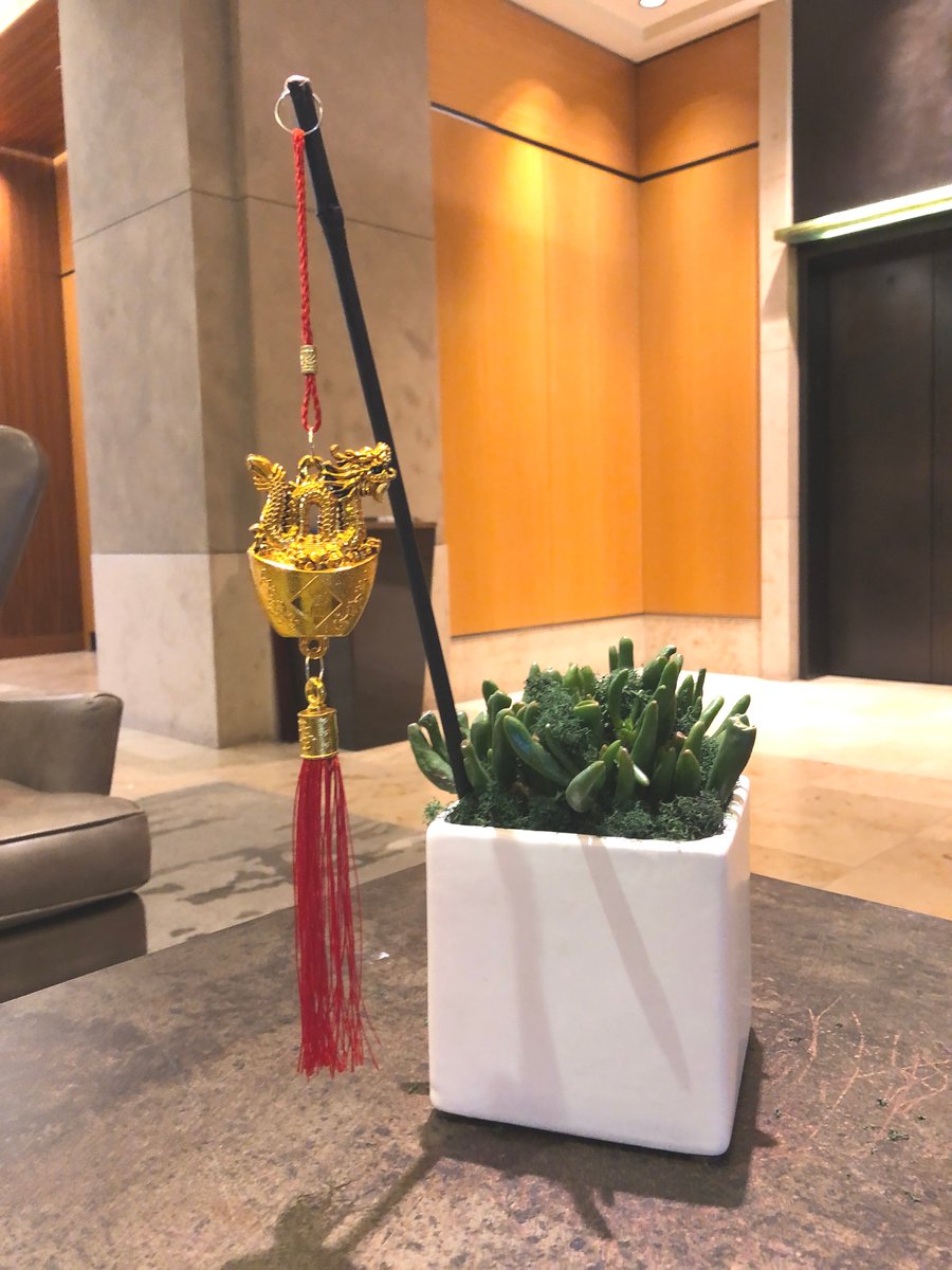 Botanical Designs tweet media