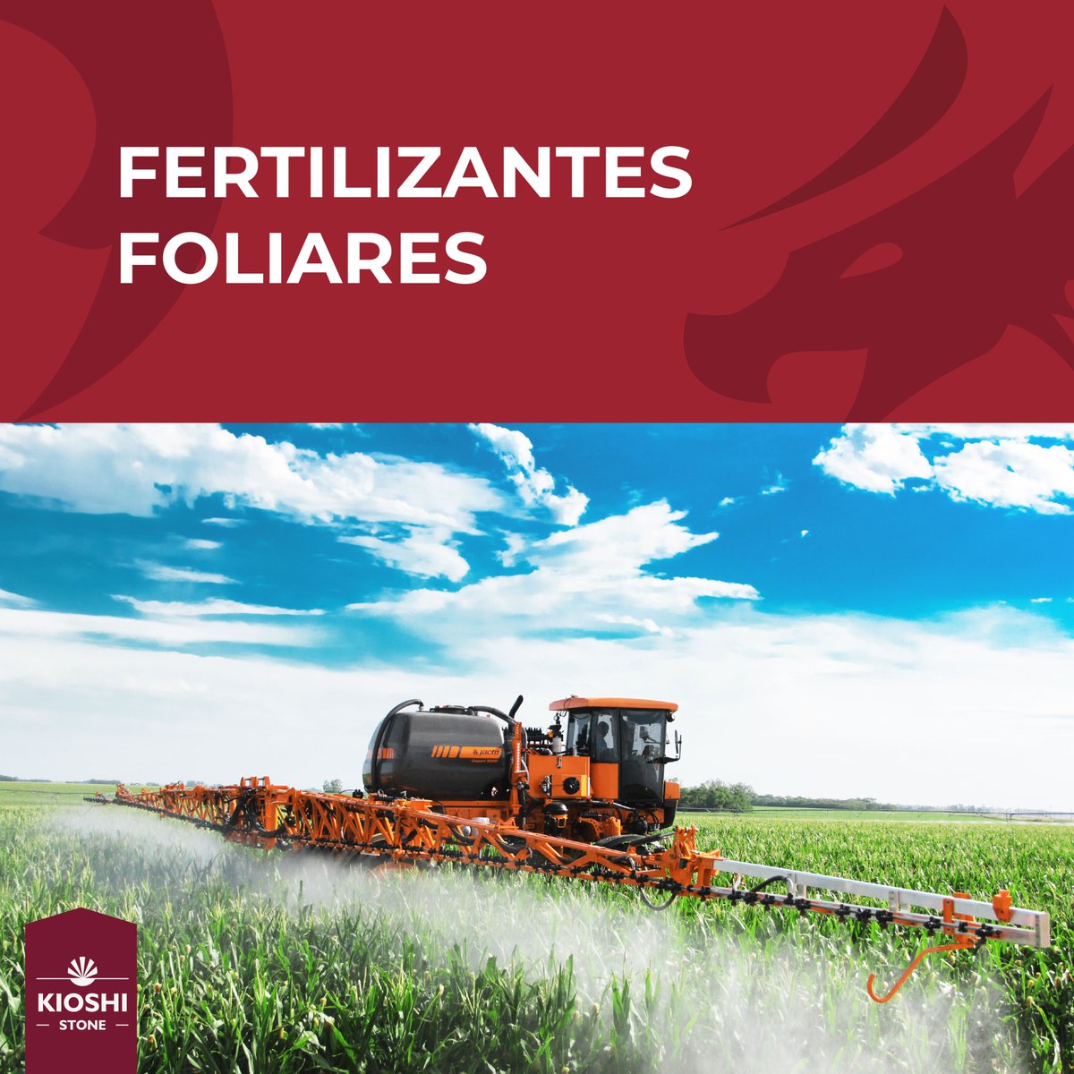 Kioshi Stone S.A. tweet media