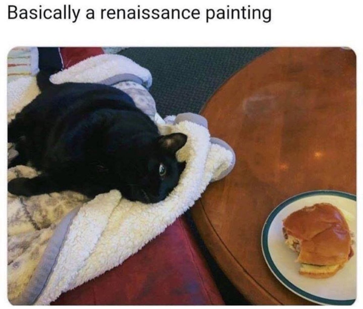PostsOfCats's tweet photo. https://t.co/APj29oiHkM