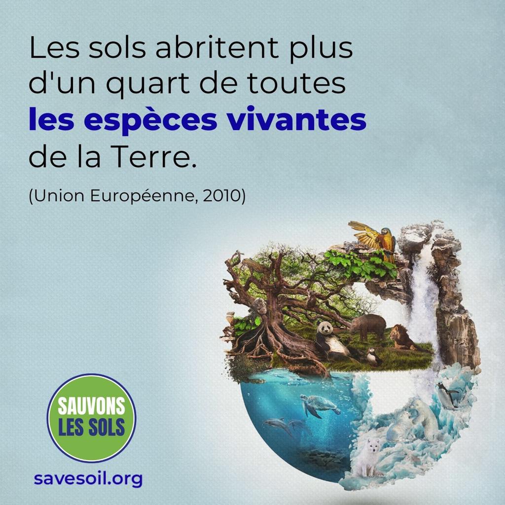 Belle initiative. L'eau c'est la Vie! Il est important de la sauvegarder tout comme il est essentiel de régénérer et revitaliser les sols qui sont la base de toutes Vies!
Faisons le ensemble!
Action now: savesoil.org
#AgirPourlEau 
#SauvonsLesSols
#ConsciousPlanet