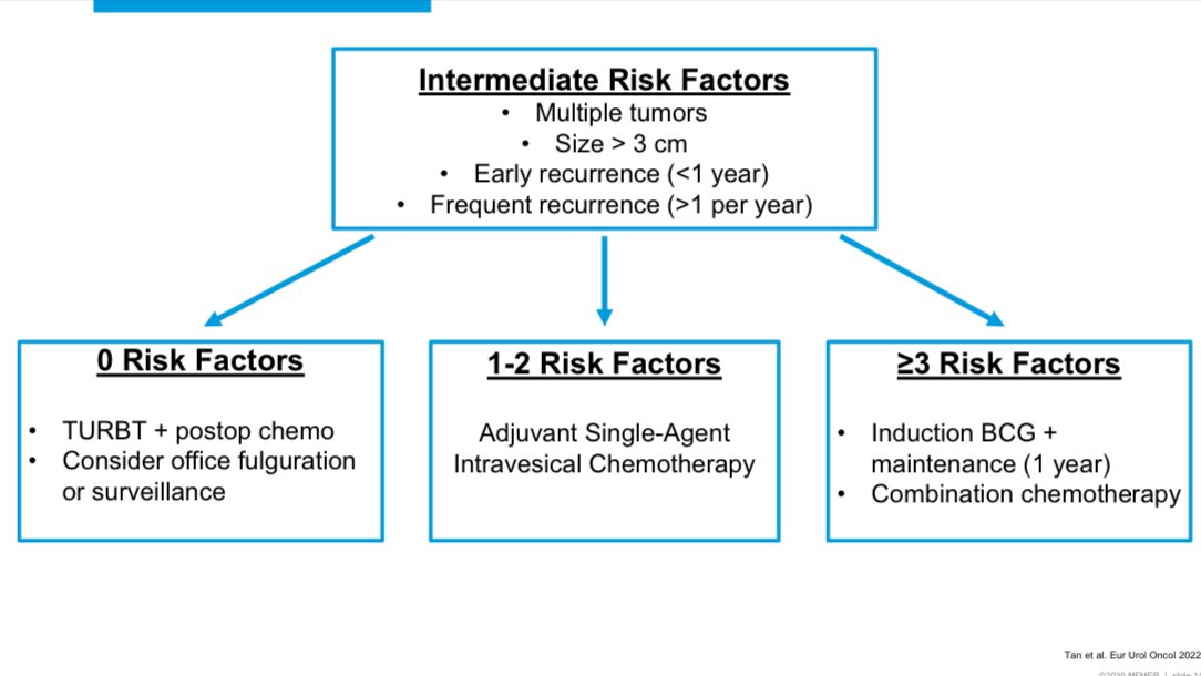 Ricardo Soares (@soares_uro) on Twitter photo Intermediate-risk NMIBC:
- High grade Ta <3 cm is intermediate-risk
- Chemotherapy as effective as BCG
- sub-stratification is key sciencedirect.com/science/articl…
<a href="/MayoUrology/">Mayo Clinic Urology</a> #MayoUroHawaii24 Intermediate-risk NMIBC:
- High grade Ta <3 cm is intermediate-risk
- Chemotherapy as effective as BCG
- sub-stratification is key sciencedirect.com/science/articl…
<a href="/MayoUrology/">Mayo Clinic Urology</a> #MayoUroHawaii24