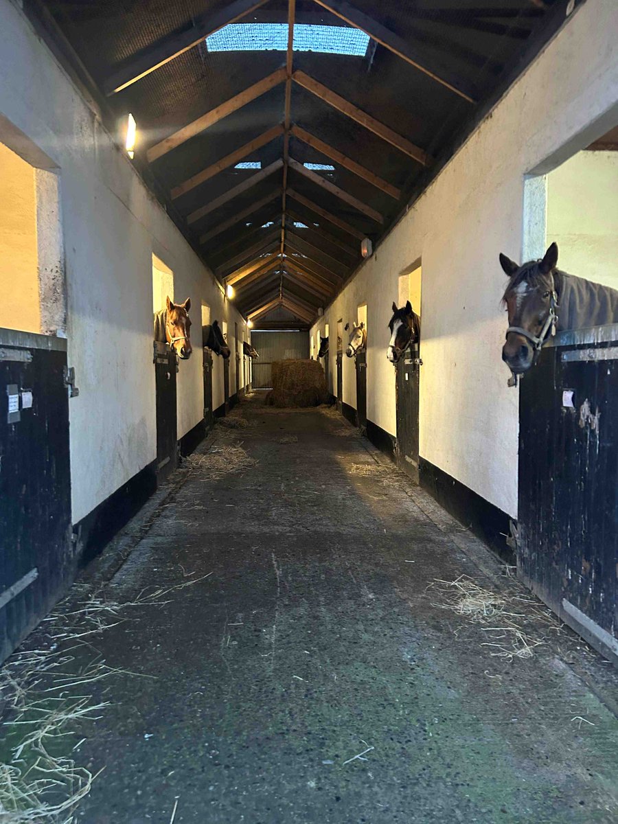 IrishNatStud's tweet image. Student Blog from Kayla Bracken 🇺🇸 &amp;amp; Tadgh Mc Guinness 🇮🇪

#INSBreedingCourse
#Kildare 

irishnationalstud.ie/student-blog-f…