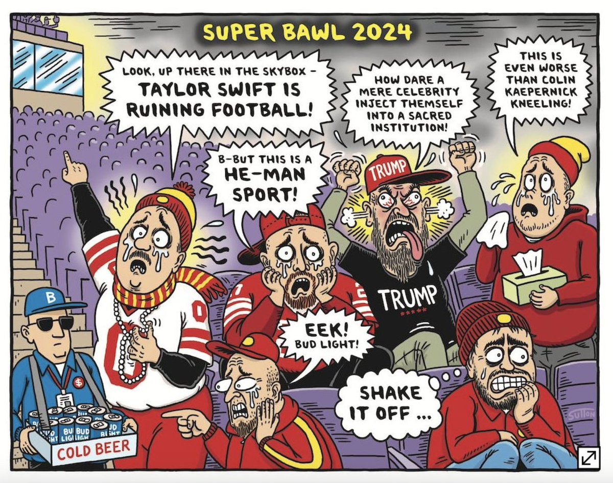 #TaylorSwift #SuperBowl #broflake #snowflake