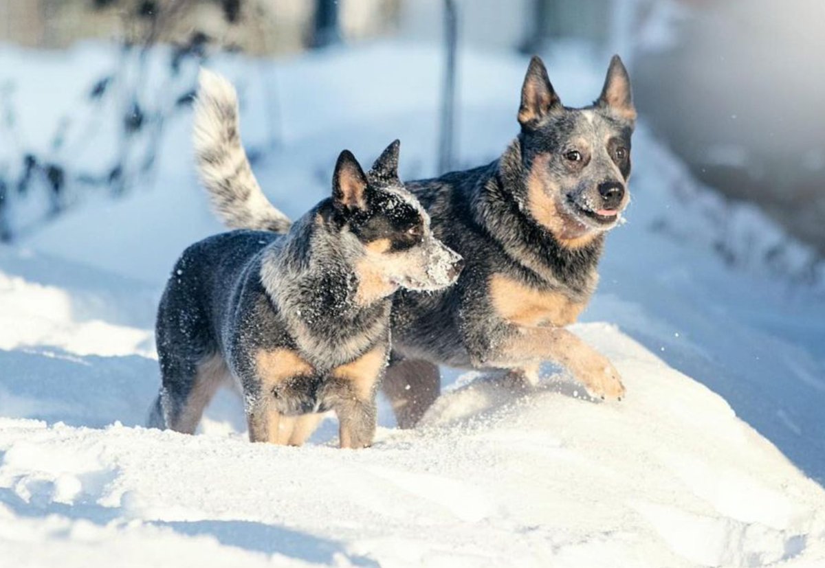 RictheCusco tweet media