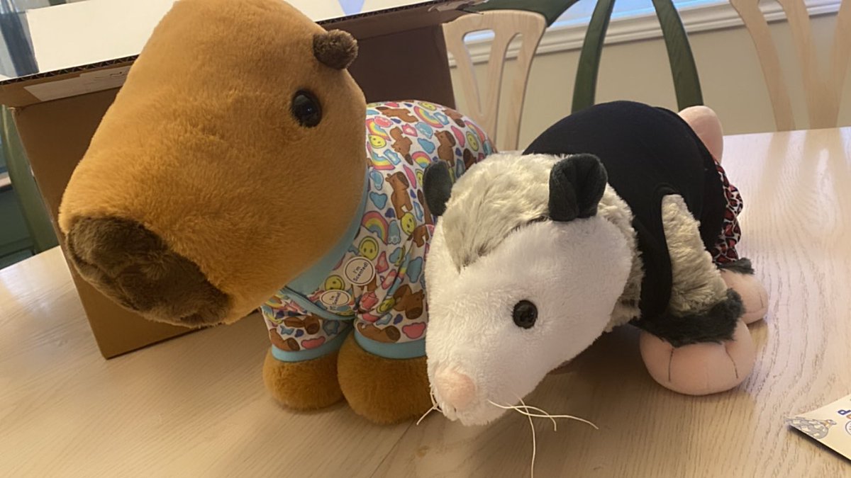 defiantdolls's tweet photo. Pedro the Capy &amp; Frank the Possum 🖤 https://t.co/lStENfgloO