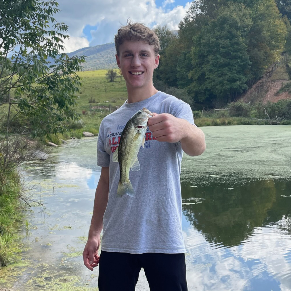 AO1 Foundation tweet media