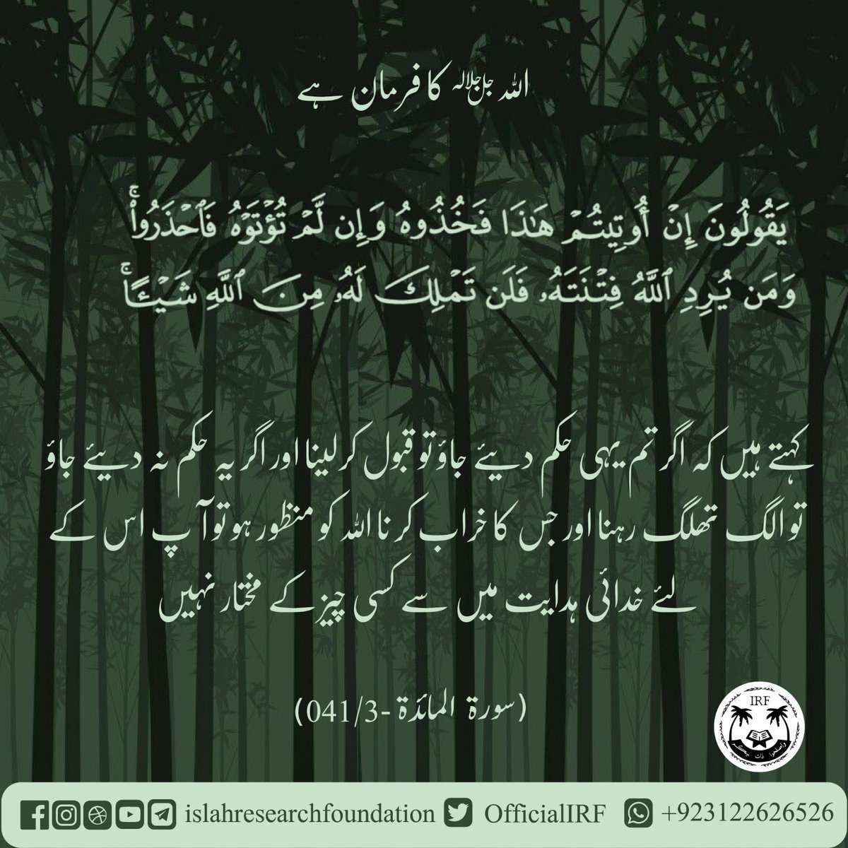 OfficialIRF's tweet photo. 005. Sorah al maidah - Verse 041
.
 #islamic #islamicquotes #islamicreminder #islamicart #islamicreminders #islamiccalligraphy #islamic_art #islamicclothing #islamicknowledge #islamicdesign #islamicpage #islamicbook #islamicworld #islamicpattern #islamiclife #islamicqoutes https://t.co/L0i2Bfjgib