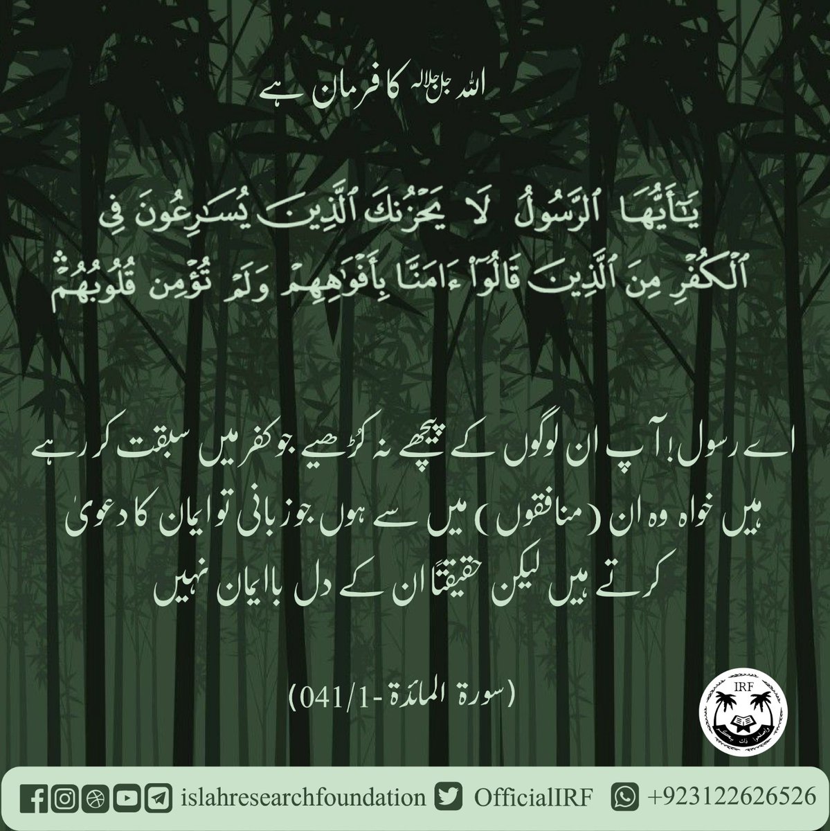 OfficialIRF's tweet photo. 005. Sorah al maidah - Verse 041
.
 #islamic #islamicquotes #islamicreminder #islamicart #islamicreminders #islamiccalligraphy #islamic_art #islamicclothing #islamicknowledge #islamicdesign #islamicpage #islamicbook #islamicworld #islamicpattern #islamiclife #islamicqoutes https://t.co/L0i2Bfjgib