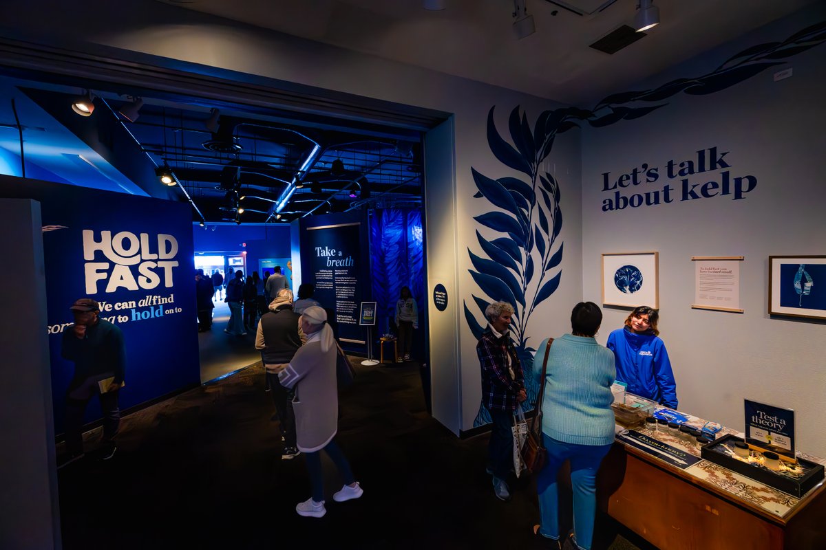 Birch_Aquarium's tweet photo. Hold Fast is NOW OPEN! This powerful and immersive art exhibit invites us to explore the impact of climate change on our local kelp forest through the lens of local artists and scientists.

Dive in: https://t.co/Kgq6kdpWGG https://t.co/DbLUusk1ju