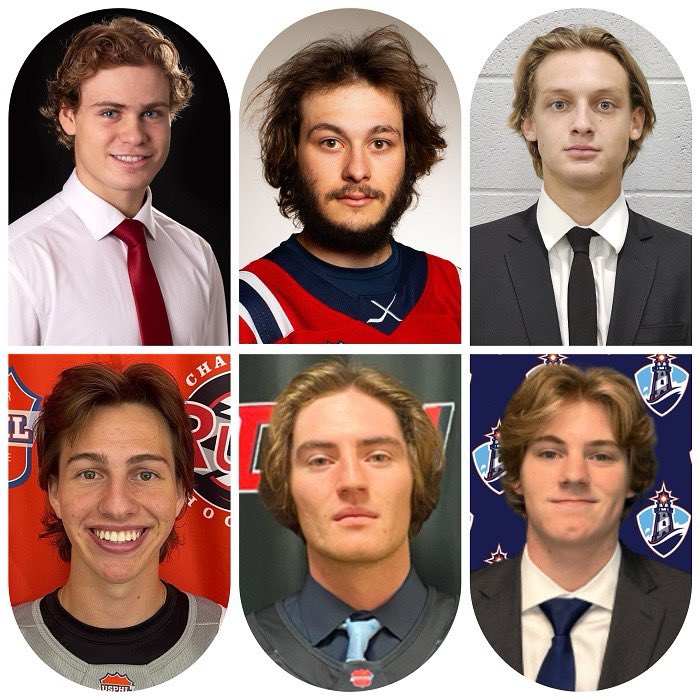 Congrats to the six players with California ties who have earned monthly honors from the @NCDCJrHockey and @USPHL! READ MORE HERE: carubberhockey.com/half-dozen-pla…