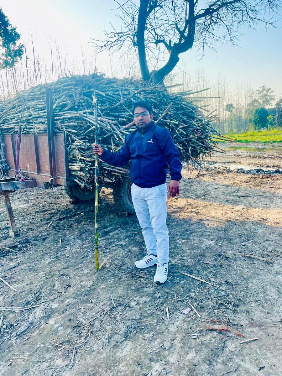 NomadicBoy007's tweet image. Deshi Ganna With Me
.
.
.
#sugartree #travel #satyendra #nomadicboy007