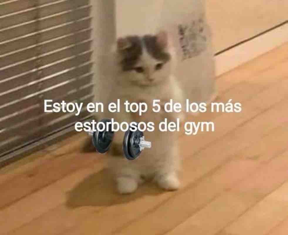 Guarromantico_'s tweet photo. https://t.co/p2Sbb6GfWG