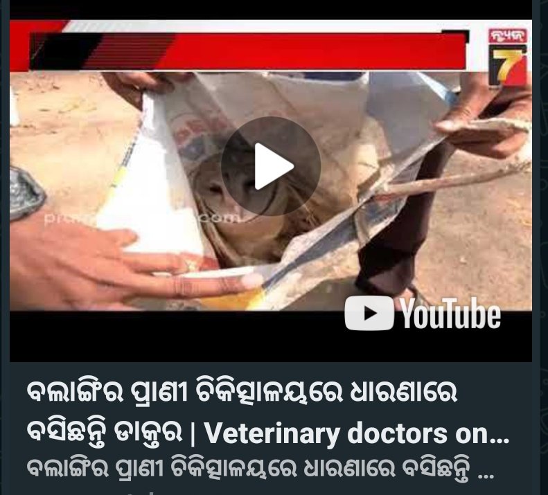 The government should realise that livestock and pet owners are facing serious issues due to #OdishaVetsOnProtest  since last 22 days <a href="/CMO_Odisha/">CMO Odisha</a> <a href="/MoSarkar5T/">MoSarkar 5T</a>

youtu.be/UAegjCjruiY?si…