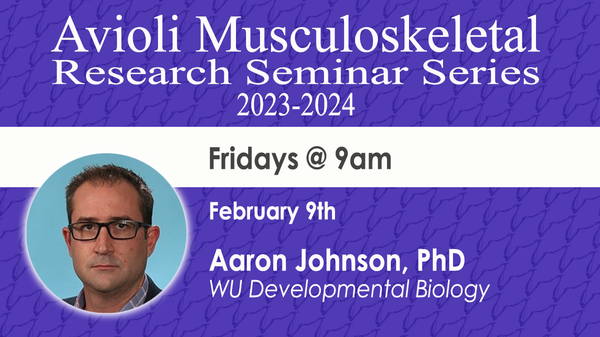WashU MRC (@washu_mrc) on Twitter photo Looking forward to tomorrow's Avioli Musculoskeletal Research Seminar:
"A brain-muscle signaling axis promotes muscle wasting”
Info: bit.ly/3ejT7tz
@WashU_BMD,@WUSTLdbbs,<a href="/washu_ortho_res/">WashU Ortho Research</a>,<a href="/WashUBME/">WashU Biomedical Engineering</a>,<a href="/dveislab/">@dveislab</a> Looking forward to tomorrow's Avioli Musculoskeletal Research Seminar:
"A brain-muscle signaling axis promotes muscle wasting”
Info: bit.ly/3ejT7tz
@WashU_BMD,@WUSTLdbbs,<a href="/washu_ortho_res/">WashU Ortho Research</a>,<a href="/WashUBME/">WashU Biomedical Engineering</a>,<a href="/dveislab/">@dveislab</a>
