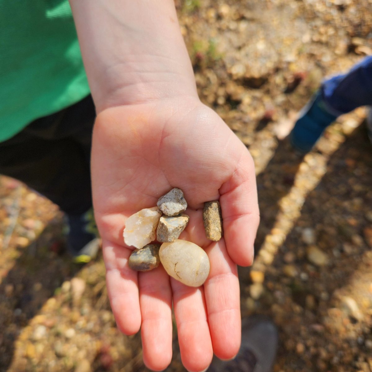 UrbanAdvSquad's tweet image. There is so much to observe during our winter #OutdoorLearning programs! Texture, color, and life are bursting forth from the soil to the tree tops. What have you witnessed on your own winter adventures?

#ThisIsOutdoorLearning 
#CityAsAClassroom