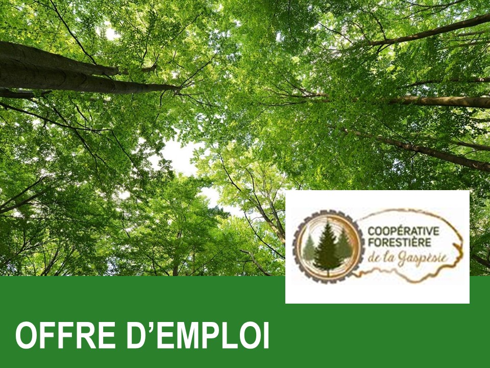 Technicien(ne) comptable | La Coopérative forestière de la #Gaspésie, située à #Maria, recherche actuellement des candidatures #technicien #comptable. Pour postuler : fqcf.coop/carriereenfore…