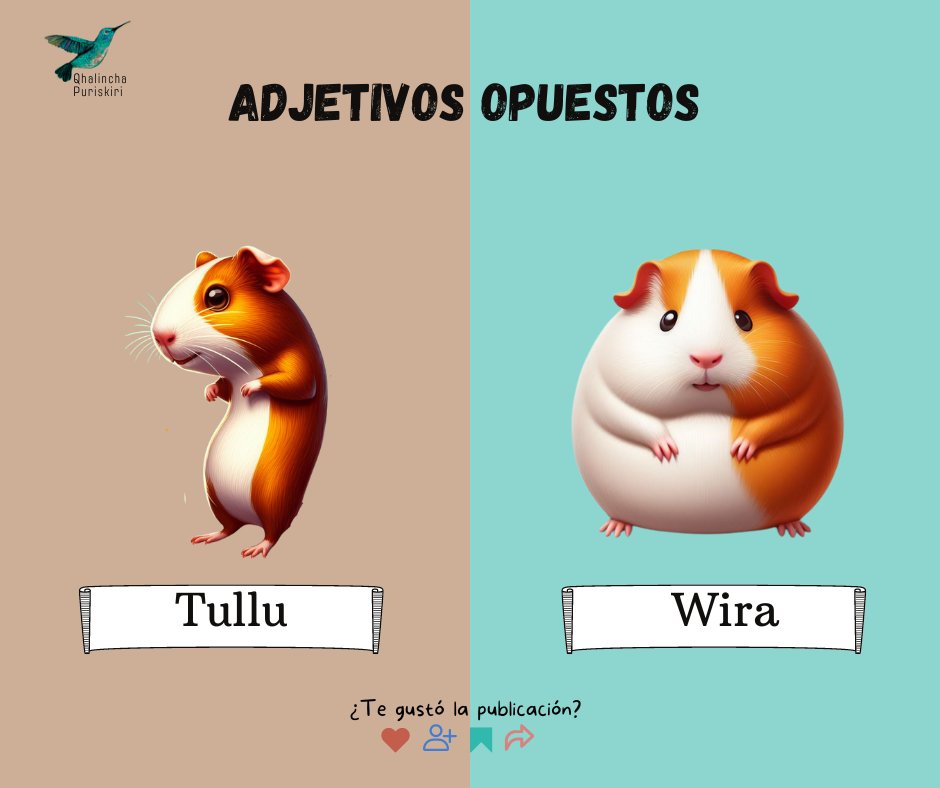ProfeQhalincha's tweet photo. 𝐀𝐃𝐉𝐄𝐓𝐈𝐕𝐎𝐒 𝐎𝐏𝐔𝐄𝐒𝐓𝐎𝐒 𝐄𝐍 𝐐𝐔𝐄𝐂𝐇𝐔𝐀
Explora la riqueza de la lengua quechua a través de sus adjetivos opuestos 💬
#Quechua #AdjetivosOpuestos #Bilingüismo #Quechua #quechuasureño #qhichwanchikrayku #quechuaboliviano #Abyayala #Runasimi https://t.co/Oc6pKRT6qA