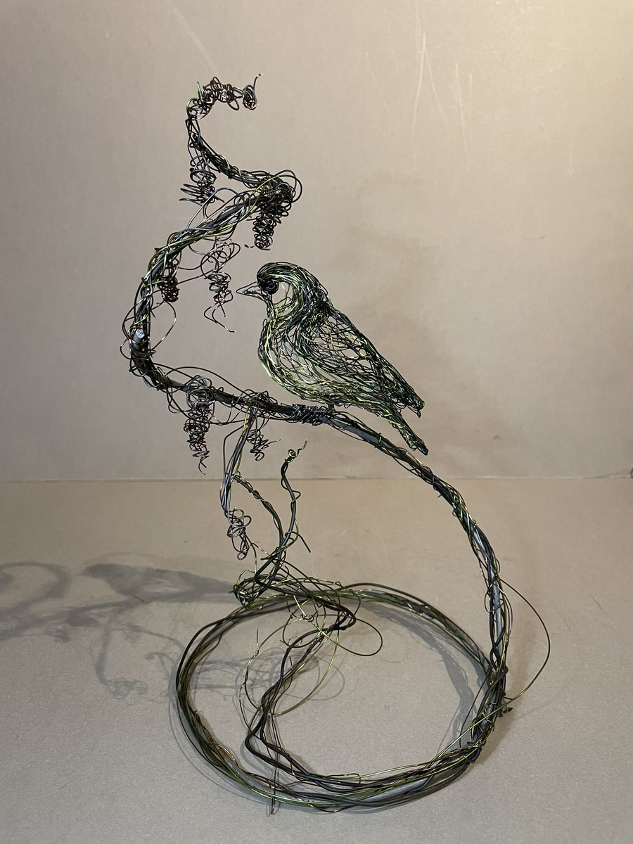 Siskin.I started this Wire Sculpture several weeks back.I was watching Siskin picking seeds from tiny Alder Cones at Minsmere,Suffolk. #siskin #wireartist #birdartist @RSPBEngland #wirebirdsculpture